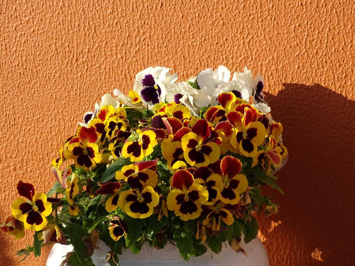 Haus Nunes By Stay In Alentejo Vila Nova de Milfontes Exterior photo